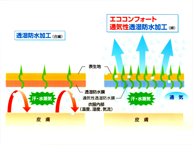 エココンフォートの解説動画